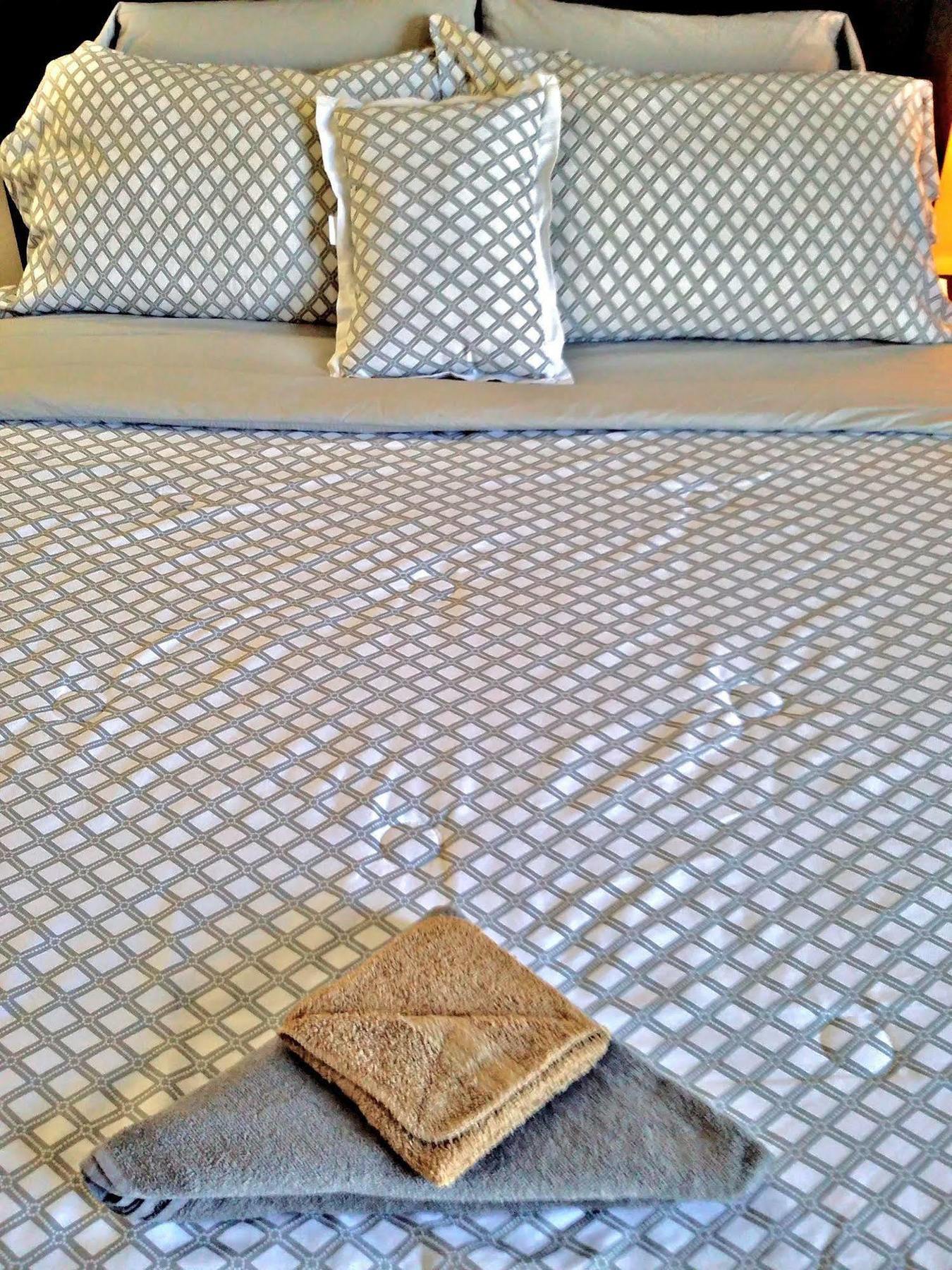 ניו יורק Jfk Bed And Breakfast Guesthouse מראה חיצוני תמונה